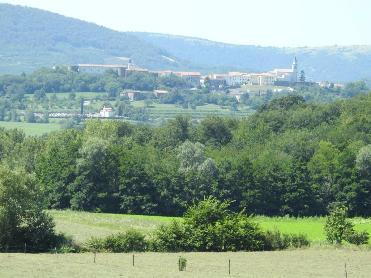 Turisticna Kmetija Pri Rebkovih Apartment Ajdovščina Exterior foto